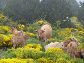 photo coins arrondis