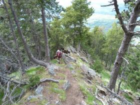 photo coins arrondis