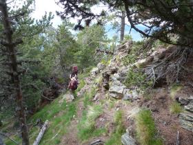 photo coins arrondis