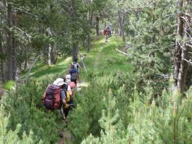 photo coins arrondis