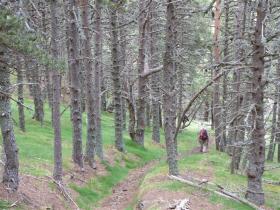 photo coins arrondis