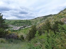 photo coins arrondis