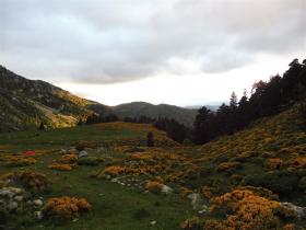 photo coins arrondis