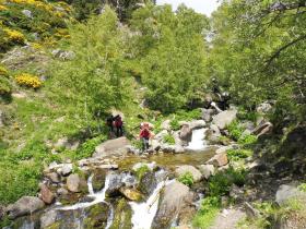 photo coins arrondis