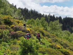 photo coins arrondis