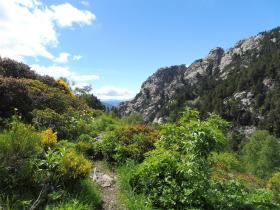 photo coins arrondis