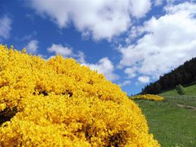 photo coins arrondis