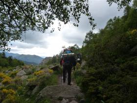 photo coins arrondis