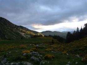 photo coins arrondis