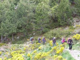 photo coins arrondis