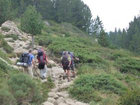 photo coins arrondis