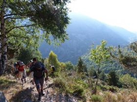 photo coins arrondis