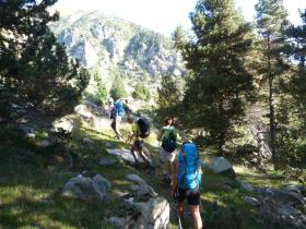 photo coins arrondis