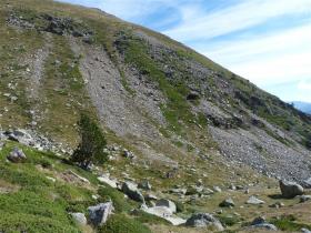 photo coins arrondis