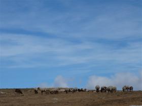 photo coins arrondis