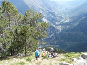 photo coins arrondis