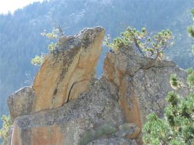 photo coins arrondis