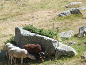 photo coins arrondis