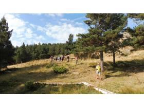 photo coins arrondis