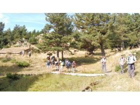 photo coins arrondis