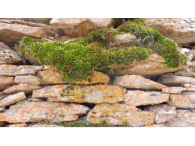 photo coins arrondis