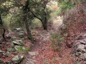 photo coins arrondis