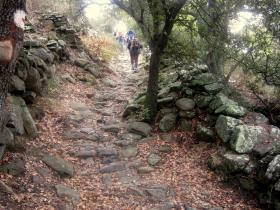 photo coins arrondis