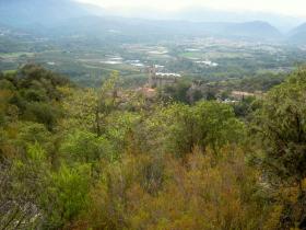 photo coins arrondis