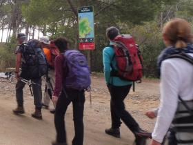 photo coins arrondis