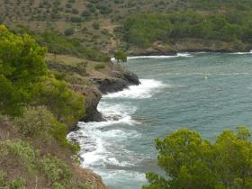 photo coins arrondis