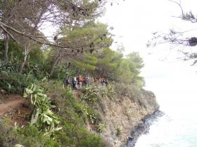 photo coins arrondis