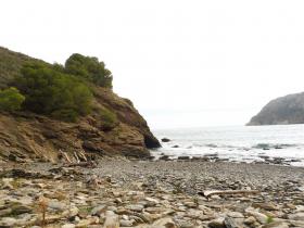 photo coins arrondis