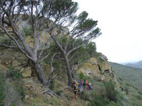 photo coins arrondis