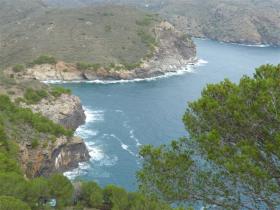 photo coins arrondis