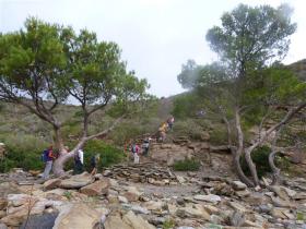 photo coins arrondis