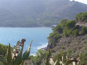 photo coins arrondis