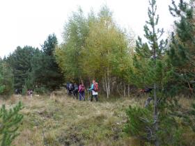 photo coins arrondis