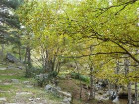 photo coins arrondis