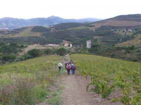 photo coins arrondis