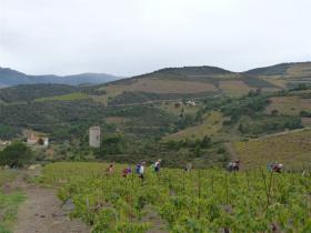 photo coins arrondis