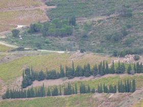 photo coins arrondis