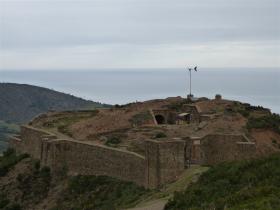 photo coins arrondis