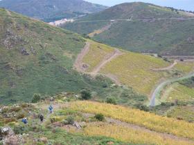 photo coins arrondis