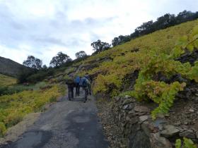 photo coins arrondis