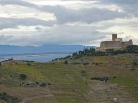 photo coins arrondis