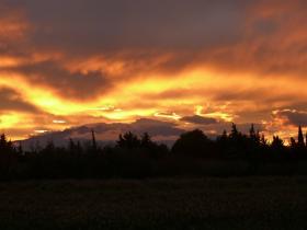 photo coins arrondis