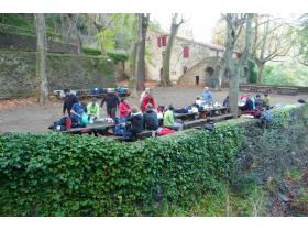 photo coins arrondis