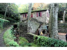 photo coins arrondis