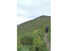 photo coins arrondis