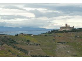 photo coins arrondis